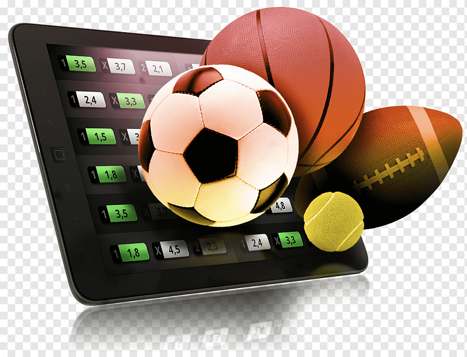 VIP Programs With Instant Status Upgrade 36