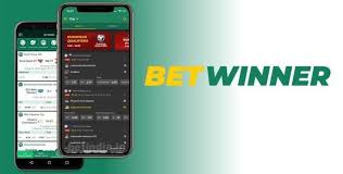 Everything You Need to Know About Betwinner 1