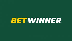 Everything You Need to Know About Betwinner 1